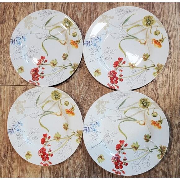 Royal Stafford Earthenware Sketchbook Salad Plates 8.5" Set of 4 Floral Harvest - Picture 1 of 6